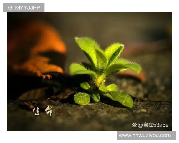 释放内在能量,开启人生新篇章,成就自我价值与潜力的完美结合 释放内在能量,开启人生新篇章,成就自我价值与潜力的完美结合